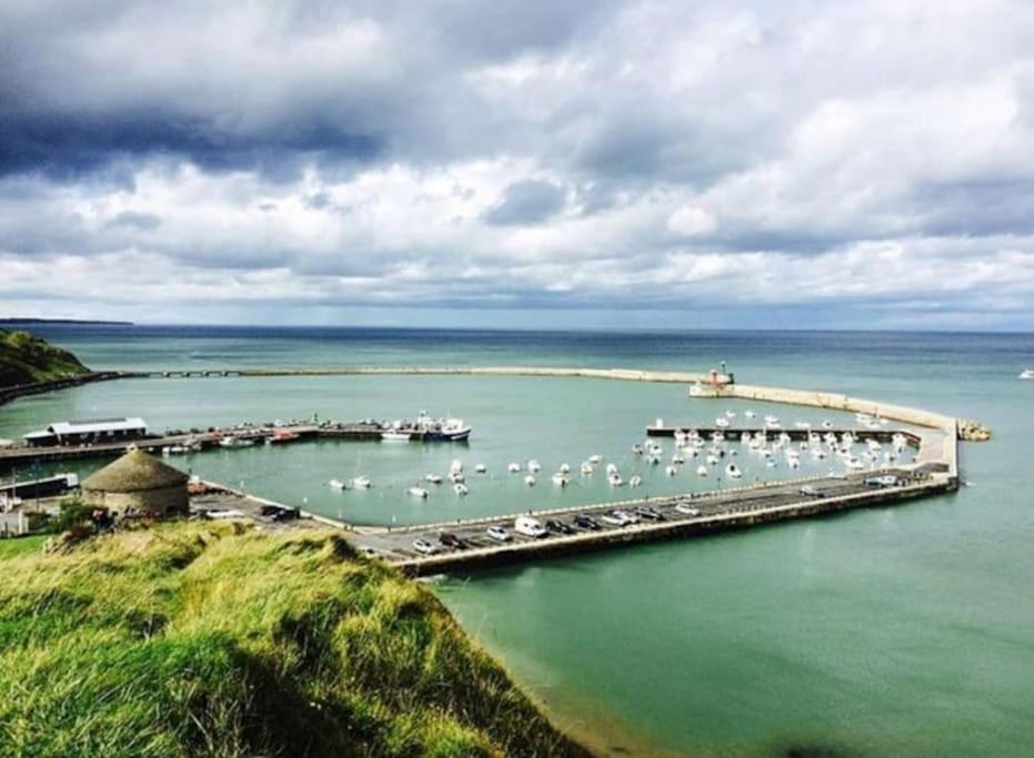 Le Refuge Marin Διαμέρισμα Courseulles-sur-Mer Εξωτερικό φωτογραφία